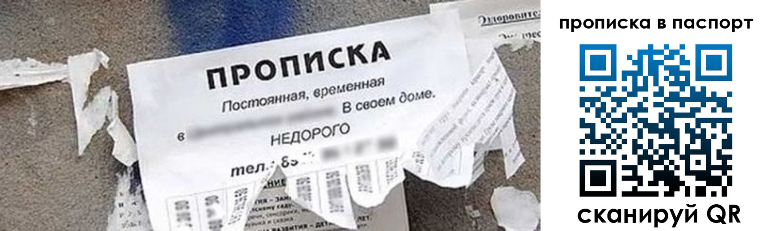 где прописаться в Вологде